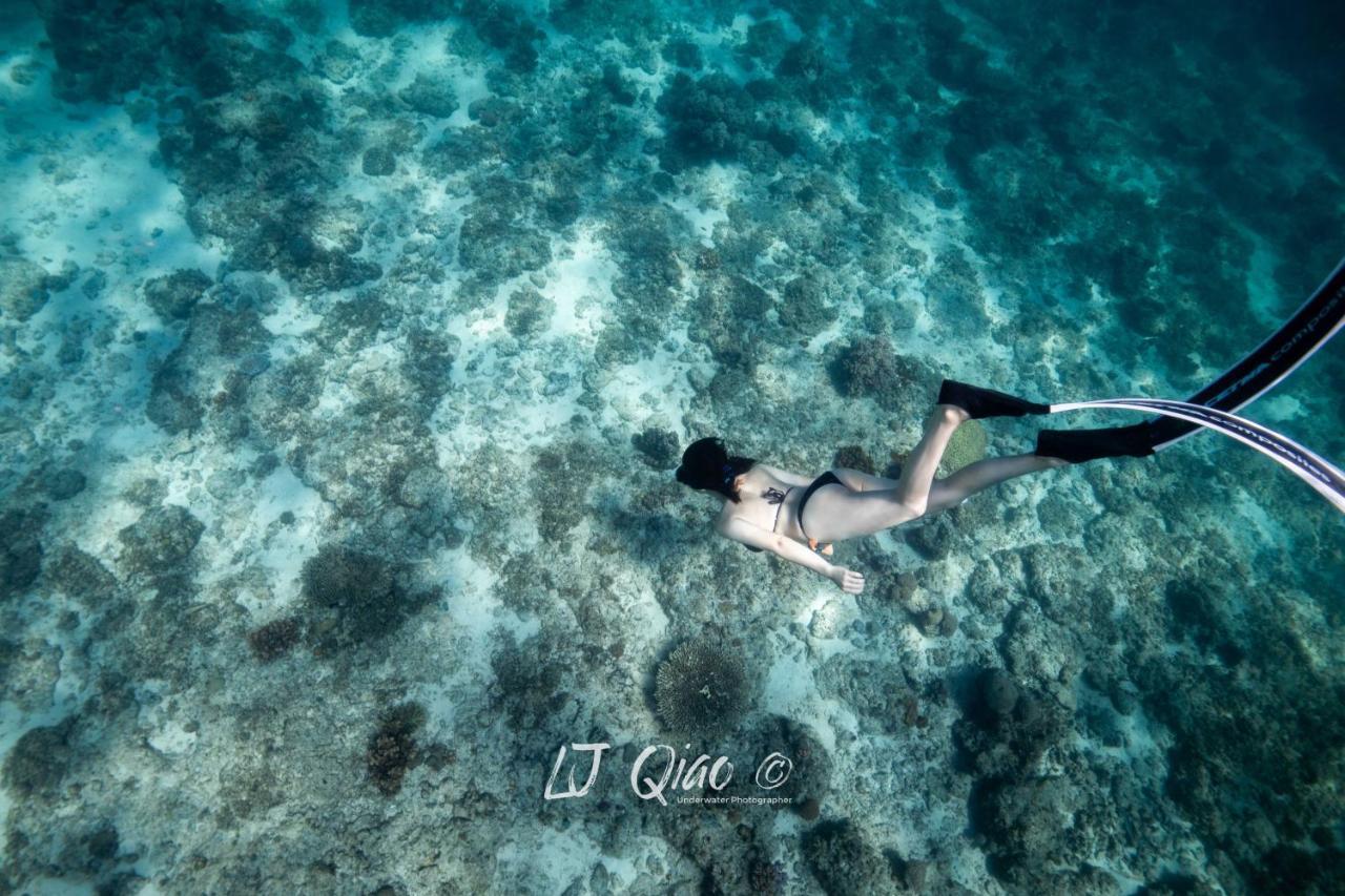 Sugarsea Inn & Dive Shop Lapu-Lapu City Dış mekan fotoğraf